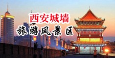 擀面杖捅阴流白浆中国陕西-西安城墙旅游风景区